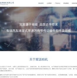 上海耀源精机有限公司