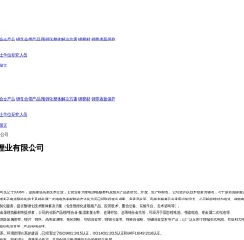 天津中能锂业有限公司