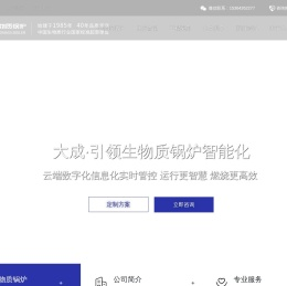 大成生物质锅炉