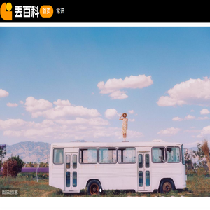 丢百科