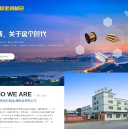 佛山市南海日精金属制品有限公司