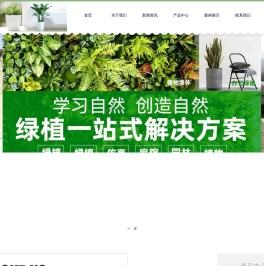 金坛花卉租摆