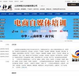 山东神视文化传媒有限公司
