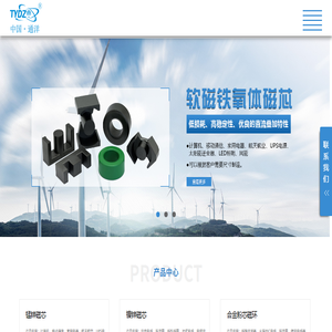 广州市通洋电子有限公司