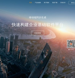 软件开发平台