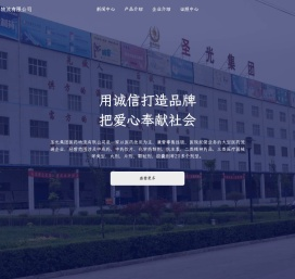 圣光集团医药物流有限公司