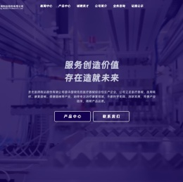 圣光医用制品股份有限公司