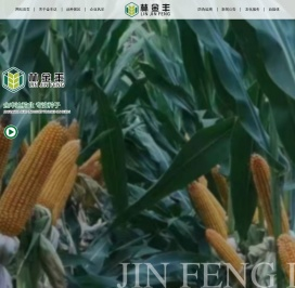 黑龙江金丰达种业有限公司