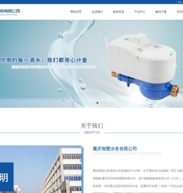 重庆智慧水务有限公司【官网】