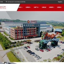 自贡市龙腾文化艺术有限公司