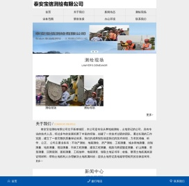 泰安宝信测绘有限公司