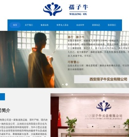 西安孺子牛