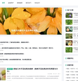盘栽艺术