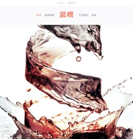 专业茶褐素生产商