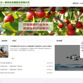 一森股份