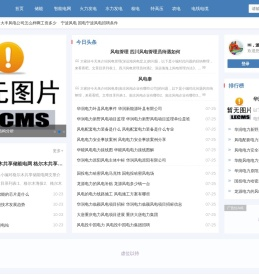 新能源电力网