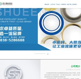 网站首页