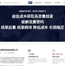 企业网站建设