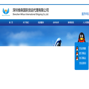 深圳维森国际货运代理有限公司