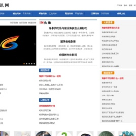 新讯网