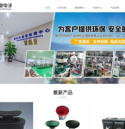 专业生产销售防水微动开关,纽子开关和按钮开关