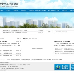 重庆市注册安全工程师协会
