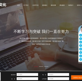 北京网站维护