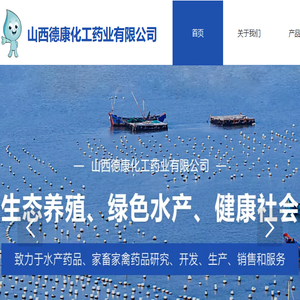 山西德康化工药业有限公司