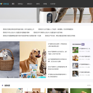 宠物用品