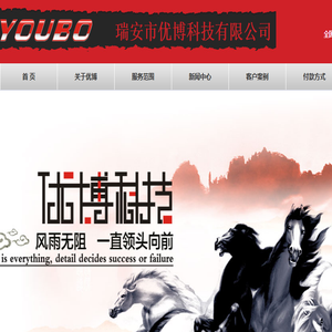 瑞安网络公司