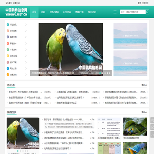 中国鹦鹉信息网