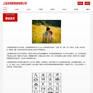 上海洋海鲸网络有限公司