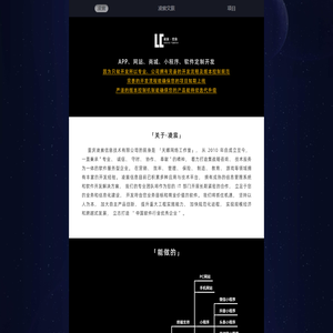 凌宸信息：软件开发公司