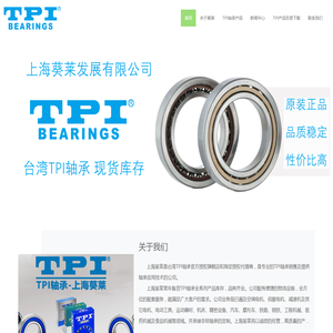 TPI轴承