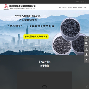 合金钢丸