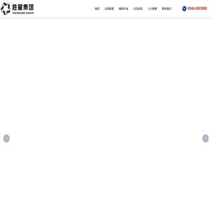 胜星集团