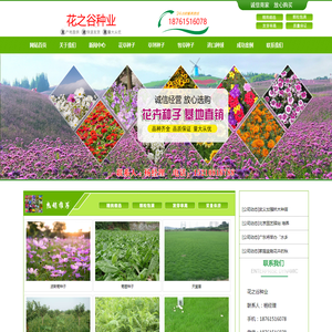 花之谷种业