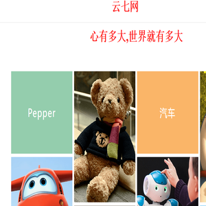 云七网