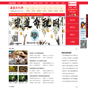 崇道命理网