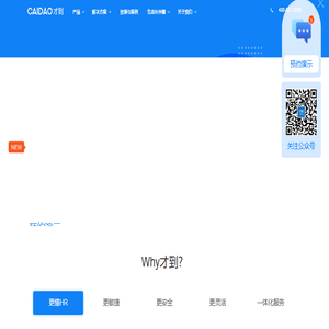 CAIDAO才到云