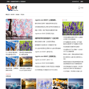 历程网