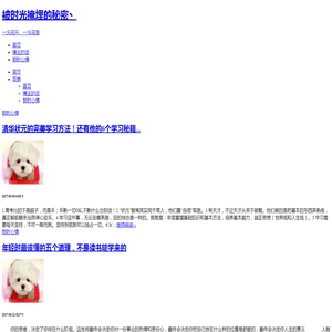 被时光掩埋的秘密丶