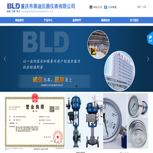重庆布莱迪仪器仪表有限公司