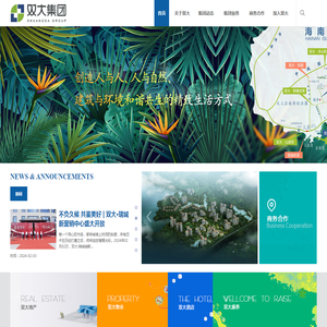 海南双大集团
