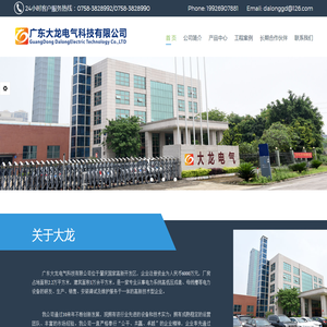广东大龙电气官网