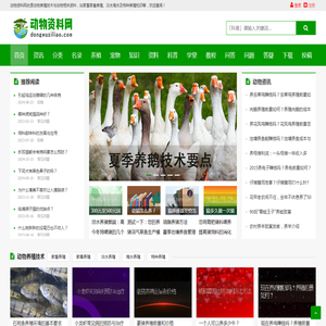 动物资料网