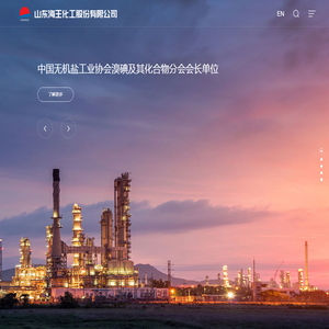 山东海王化工股份有限公司