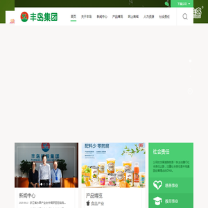 丰岛控股集团