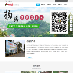 慈溪杨梅
