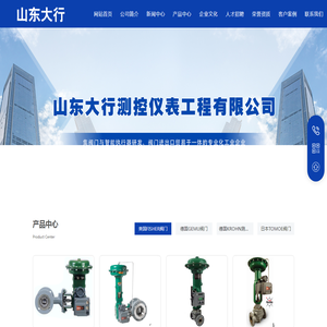 山东大行测控仪表工程有限公司